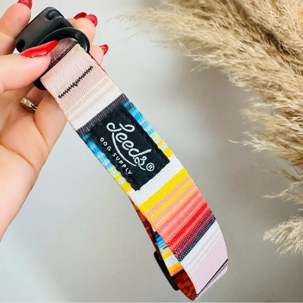 NEW LEEDS Califia Cream Orange Stripe Buckle Dog Collar Step In Harness $85 Set